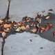 Illustration for article titled Shooting Challenge Fall Leaves Gallery 9